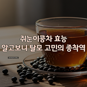 쥐눈이콩차 효능 알고보니 탈모 고민의 종착역