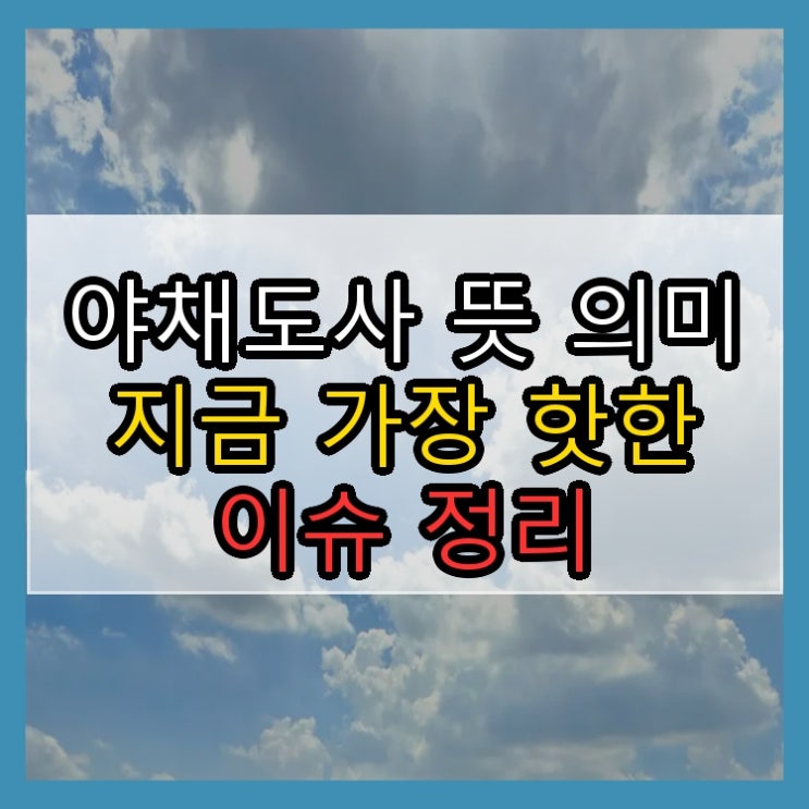  야채도사 뜻 의미 지금 가장 핫한 이슈 정리