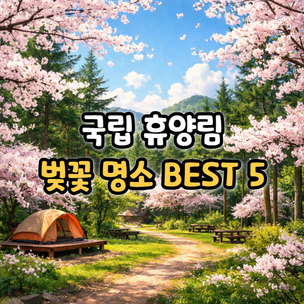  올해는 성공할까? 국립휴양림 벚꽃 명소 BEST 5
