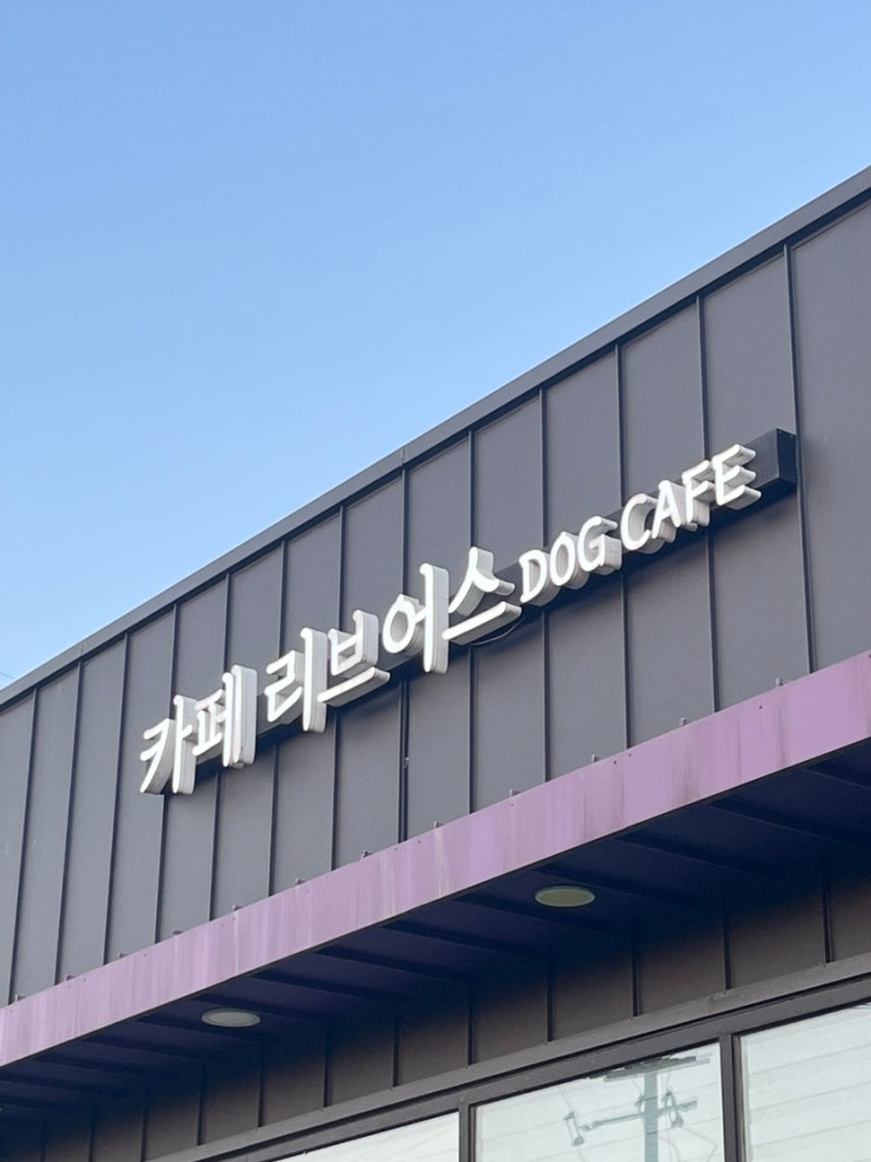 사진 6