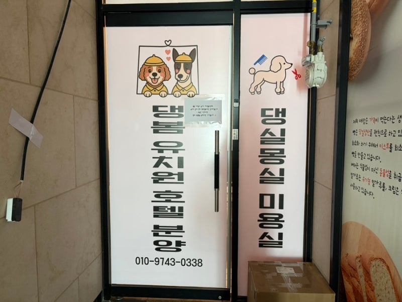 사진 8