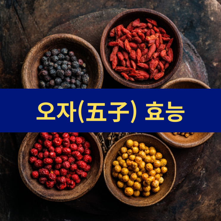  오자(五子) 효능 복분자 구기자 오미자 사상자 토사자 | 활력 건강