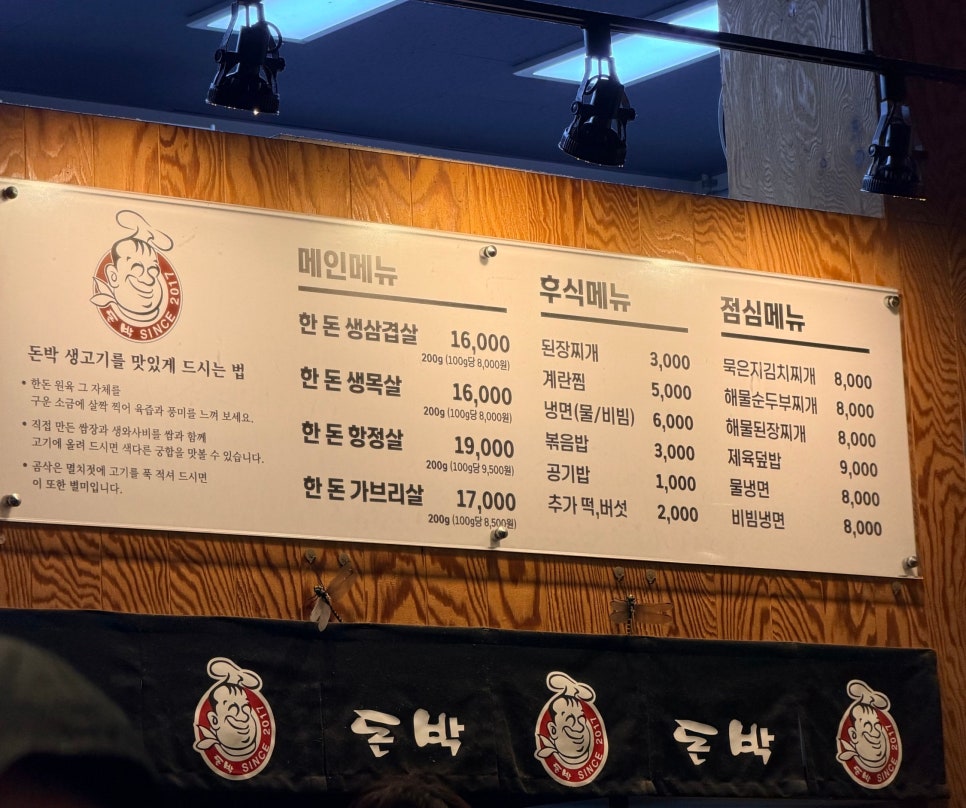돈박 사진 2