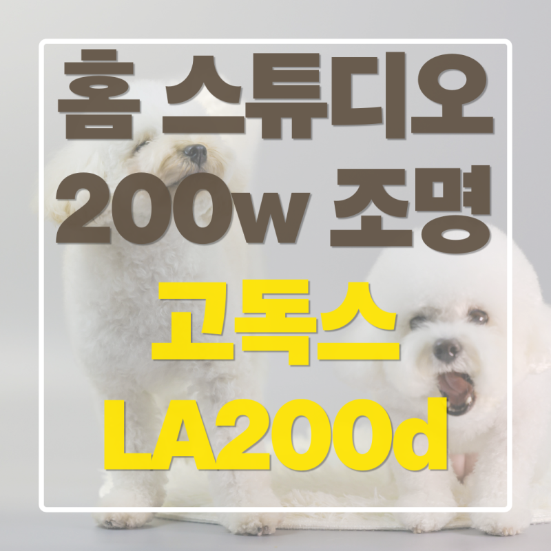 고독스 지속광 조명 LA200d 후기! 밝기·무게 비교 후 선택한 이유