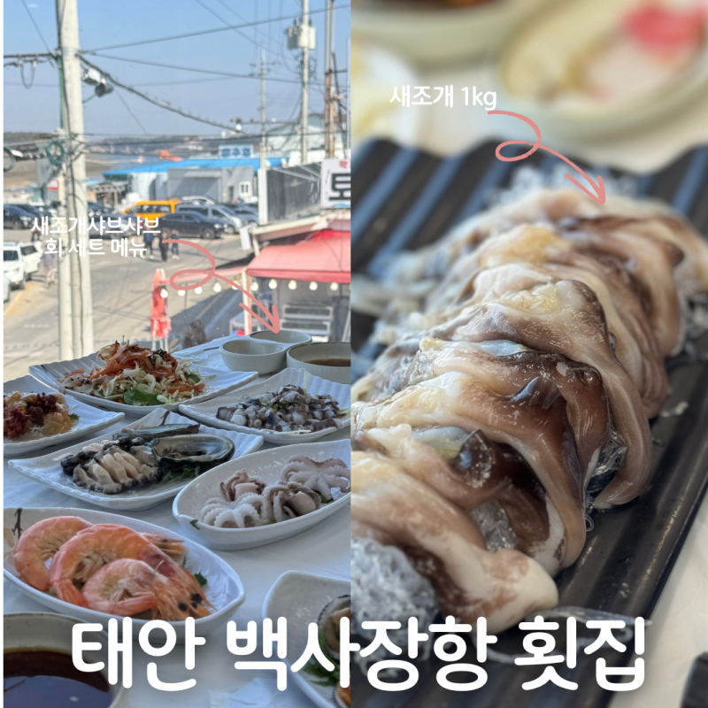 태안 백사장항 맛집 새조개 샤브샤브 회 막퍼주는횟집 솔직 후기