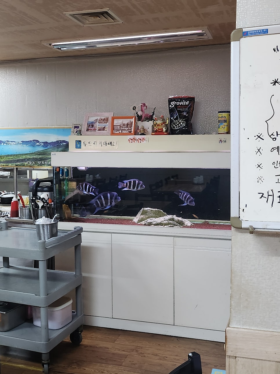 프로석쇠불고기 사진 6