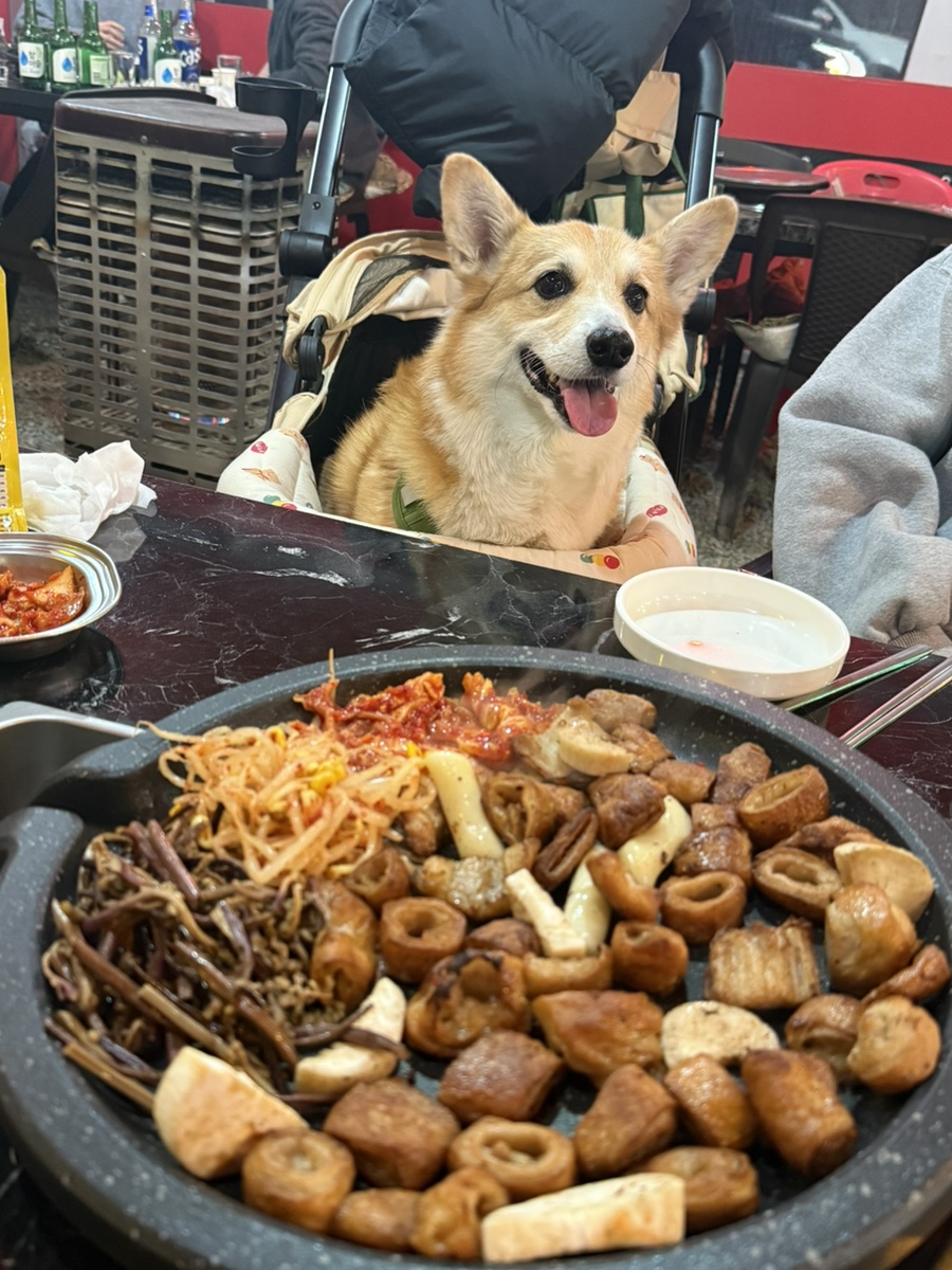 깡이네막창&포차 사진 1
