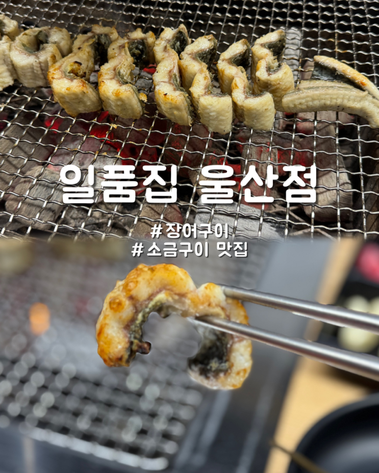  울산 삼산 민물장어 가족외식 저녁회식 맛집 일품집 울산점