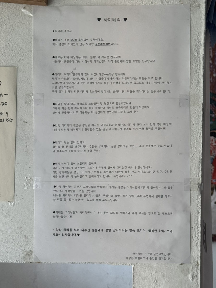 하이테리 사진 3