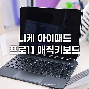 니케 프로11 아이패드 매직 키보드 케이스 추천 6개월 사용 후기