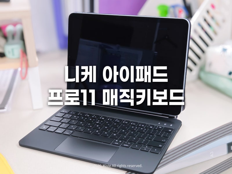 니케 프로11 아이패드 매직 키보드 케이스 추천 6개월 사용 후기