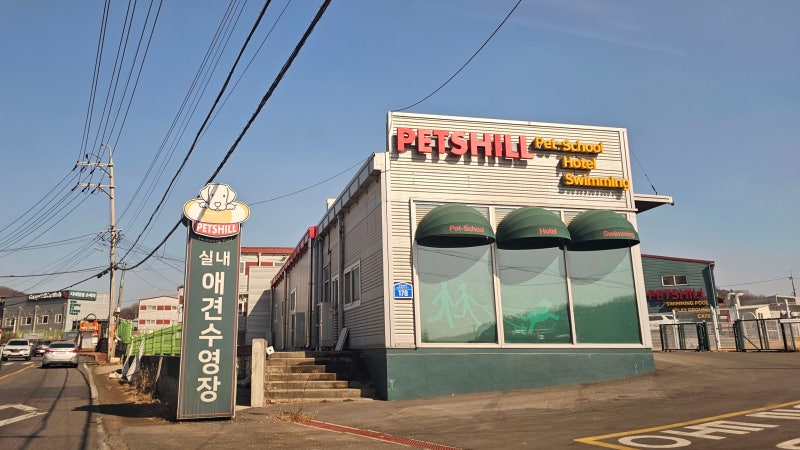 사진 6