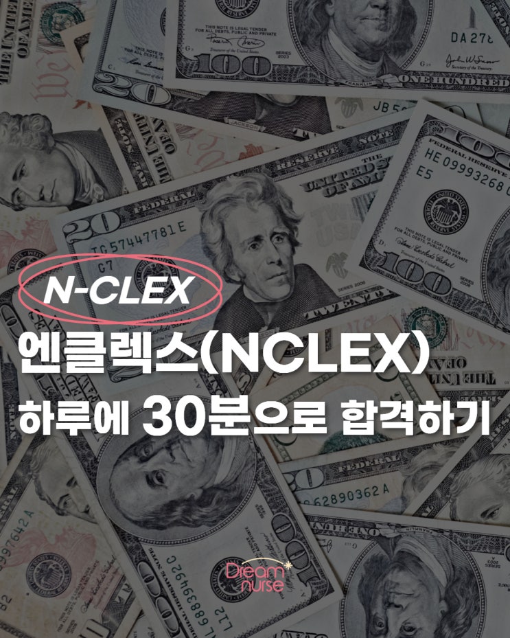  직장 다니면서 엔클렉스 준비? 하루 30분 강의로 루틴부터 만들기
