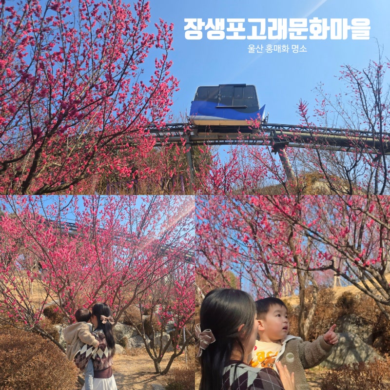 사진 6