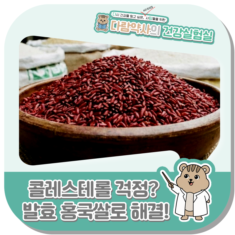 발효 홍국쌀 효능, 콜레스테롤 수치 걱정된다면 이 조합 꼭 보세요!
