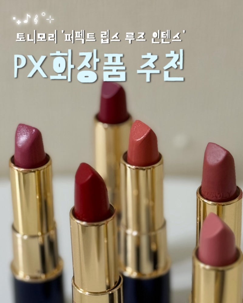 PX 신상 화장품 토니모리 립스틱 입술에 녹아드는 슬라이딩 루즈 인텐스 전색상 발색 리뷰