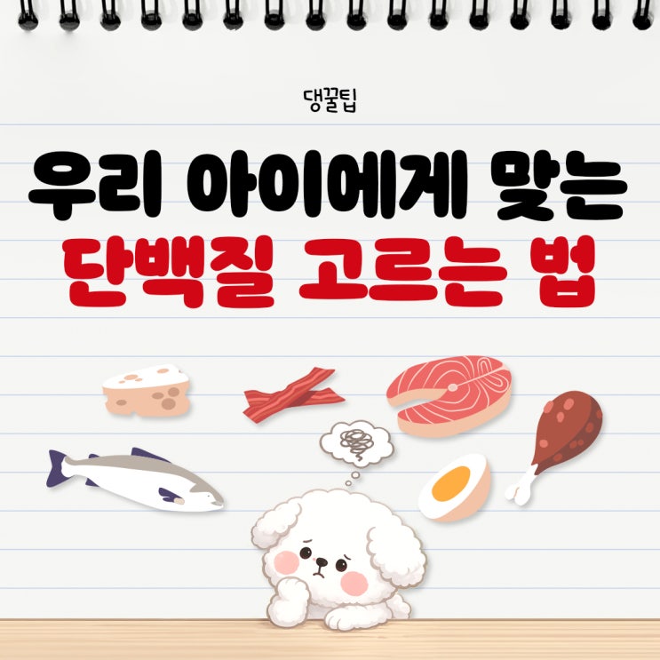  디어니스트키친에서 알려주는 따뜻한 단백질과 차가운 단백질