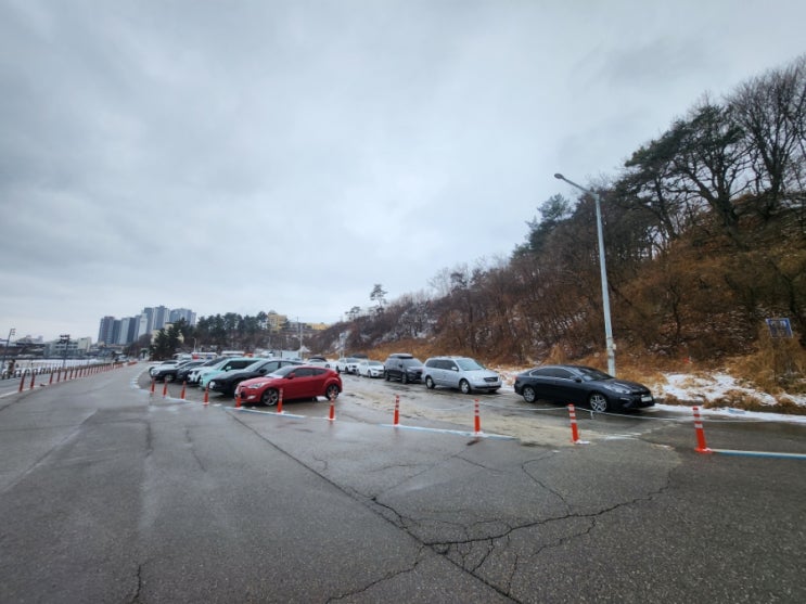  고성카페 오션뷰 커피맛집 스위밍터틀 가족여행