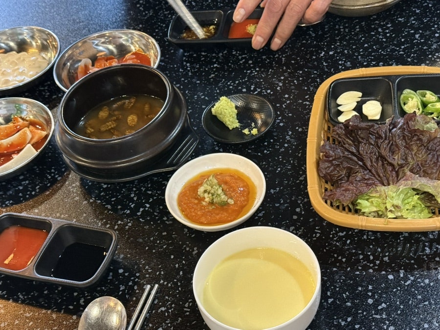 회바라기 사진 6