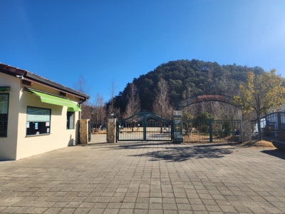 담양 메타세쿼이아길