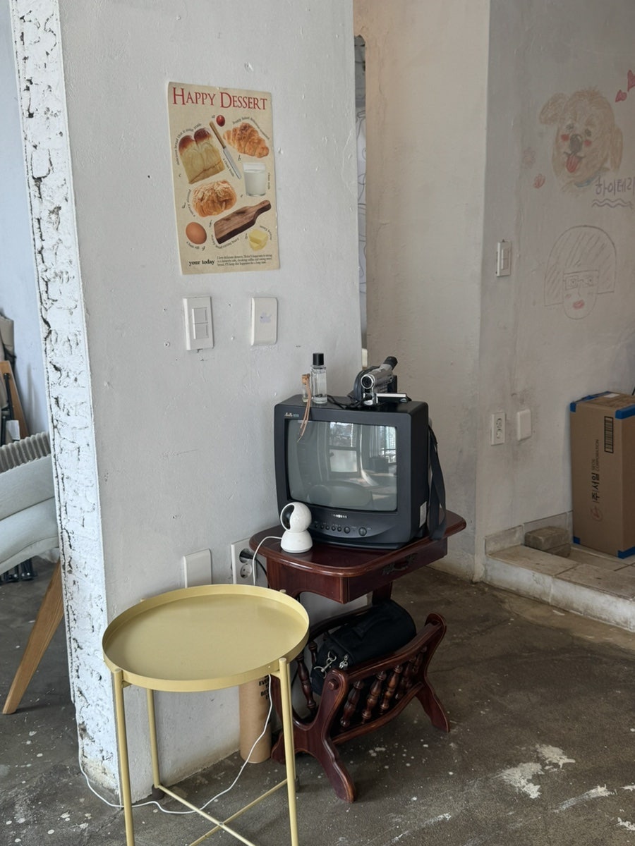 하이테리 사진 4