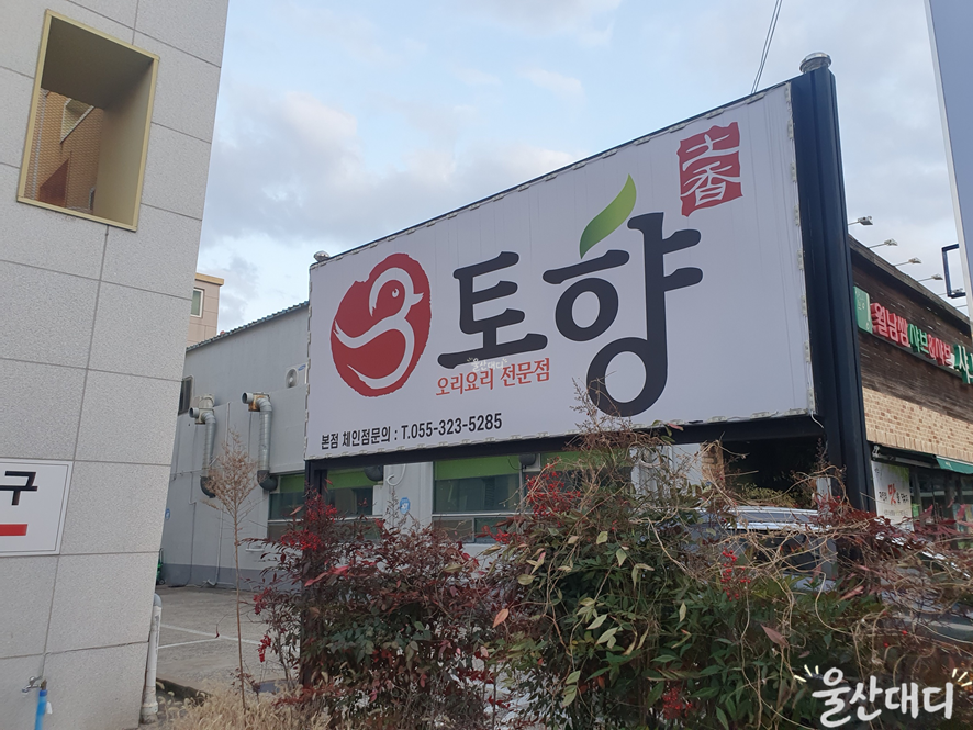 토향 사진 1