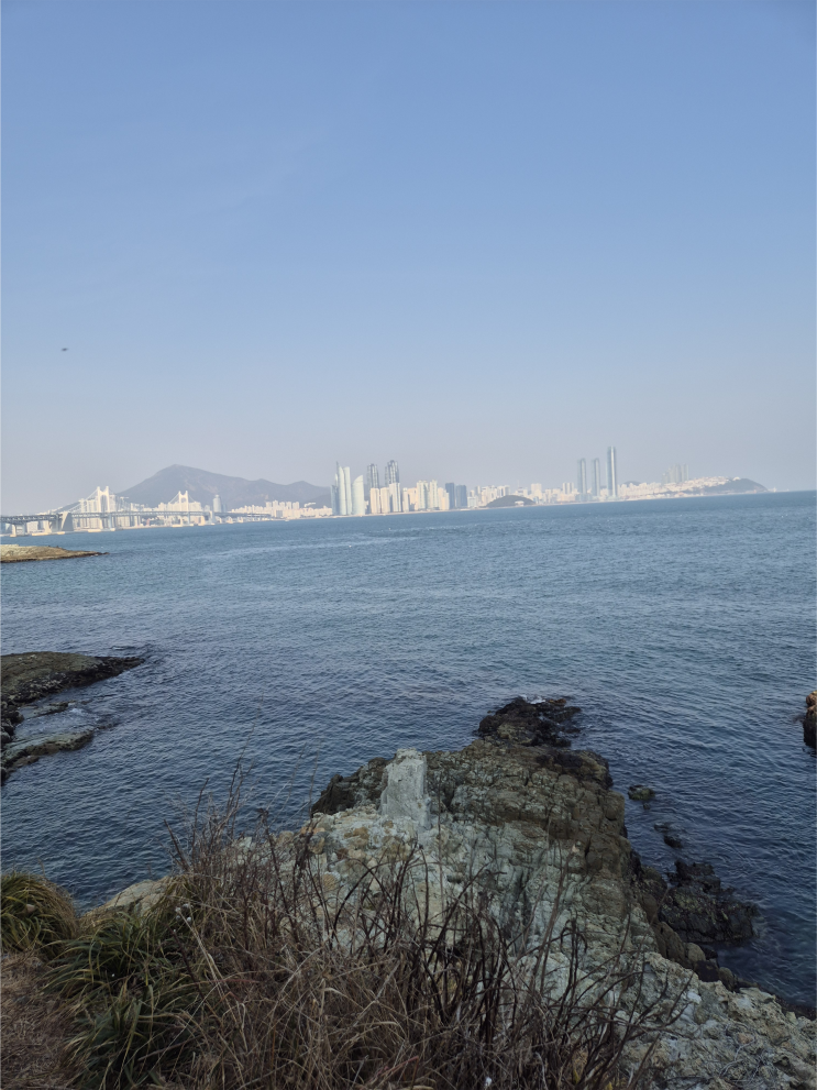  "한 해의 첫 명절, 마음 정리하며"