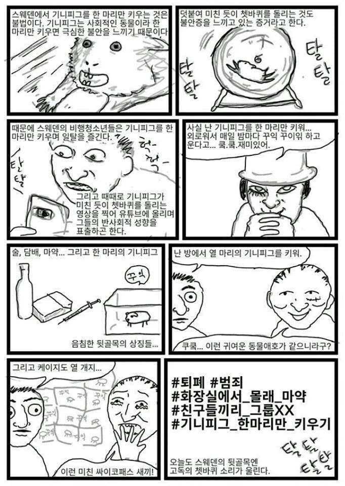  스웨덴 비행청소년들의 불법적 일탈행위.manhwa