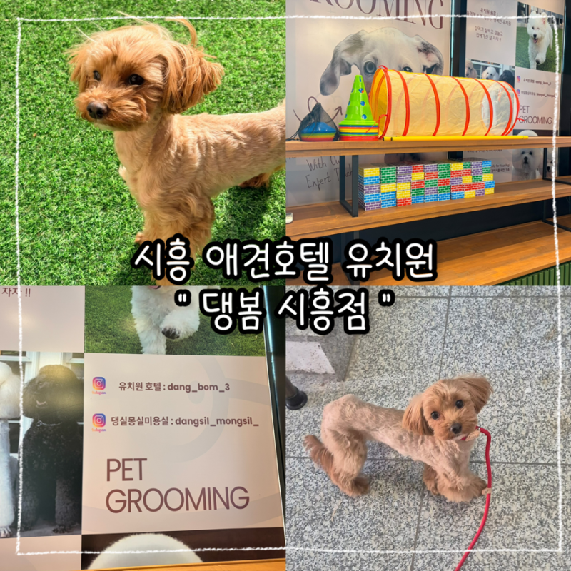사진 7