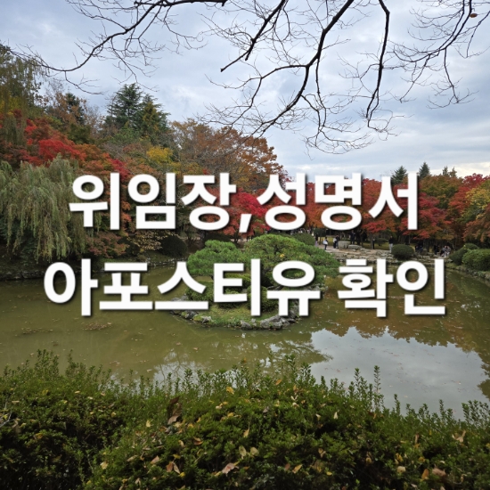  회사 계약서, 위임장, 성명서 아포스티유 확인