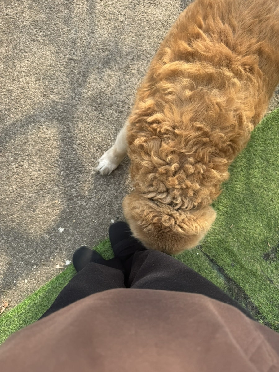 하이테리 사진 1