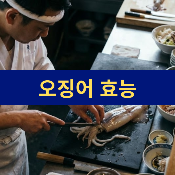 오징어 효능 마른 반건조 물오징어 효능 효과 지방 단백질 한마리 칼로리