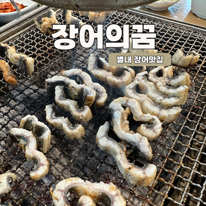 별내 장어의꿈｜주말 웨이팅 있는 별내 장어맛집 (포장 가능)