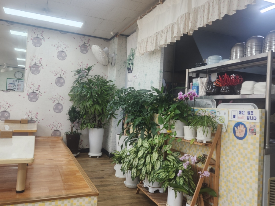 비치바지락칼국수 사진 3