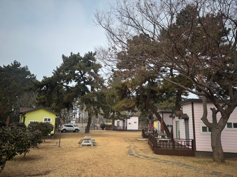 사진 8