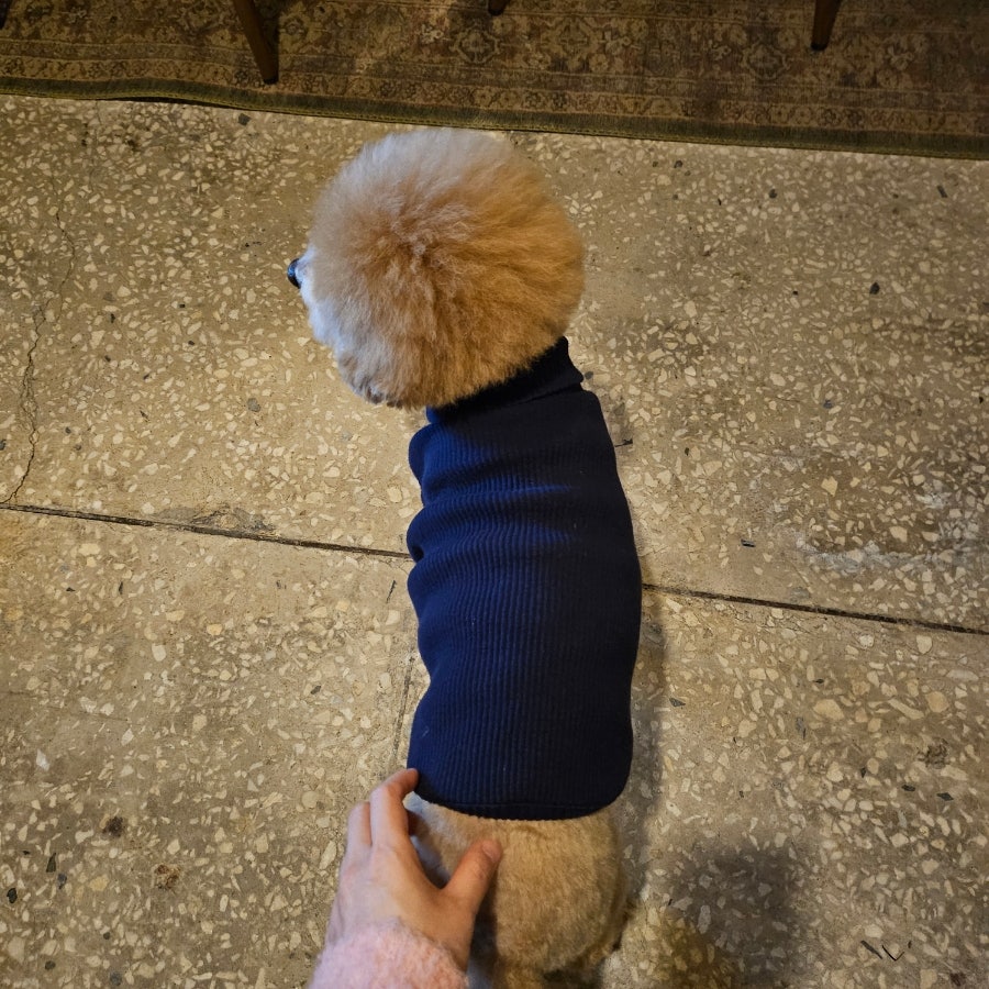 롱스펍 사진 4