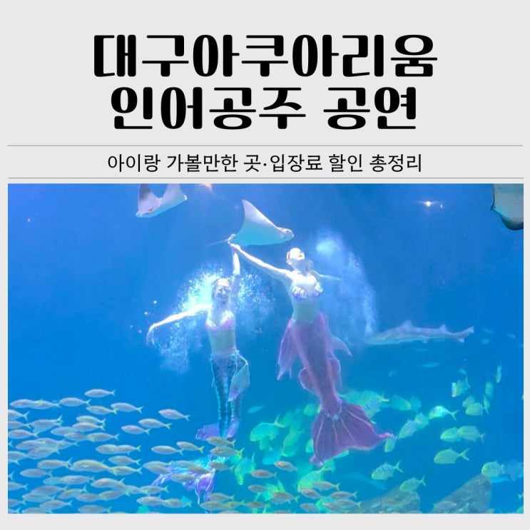  대구아쿠아리움 아이와 다녀온 후기｜입장료 할인·인어공주 공연·위시캣특별전 총정리