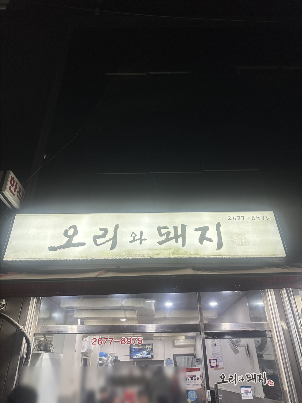 오리와돼지 사진 1