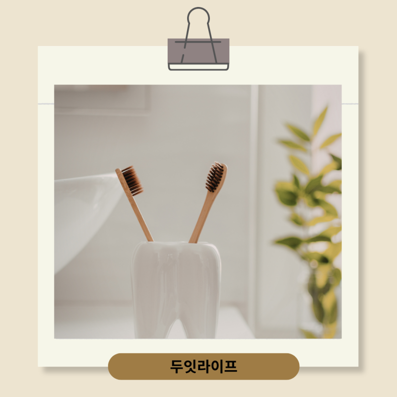 일회용 칫솔 치약 기내반입 가능할까?
