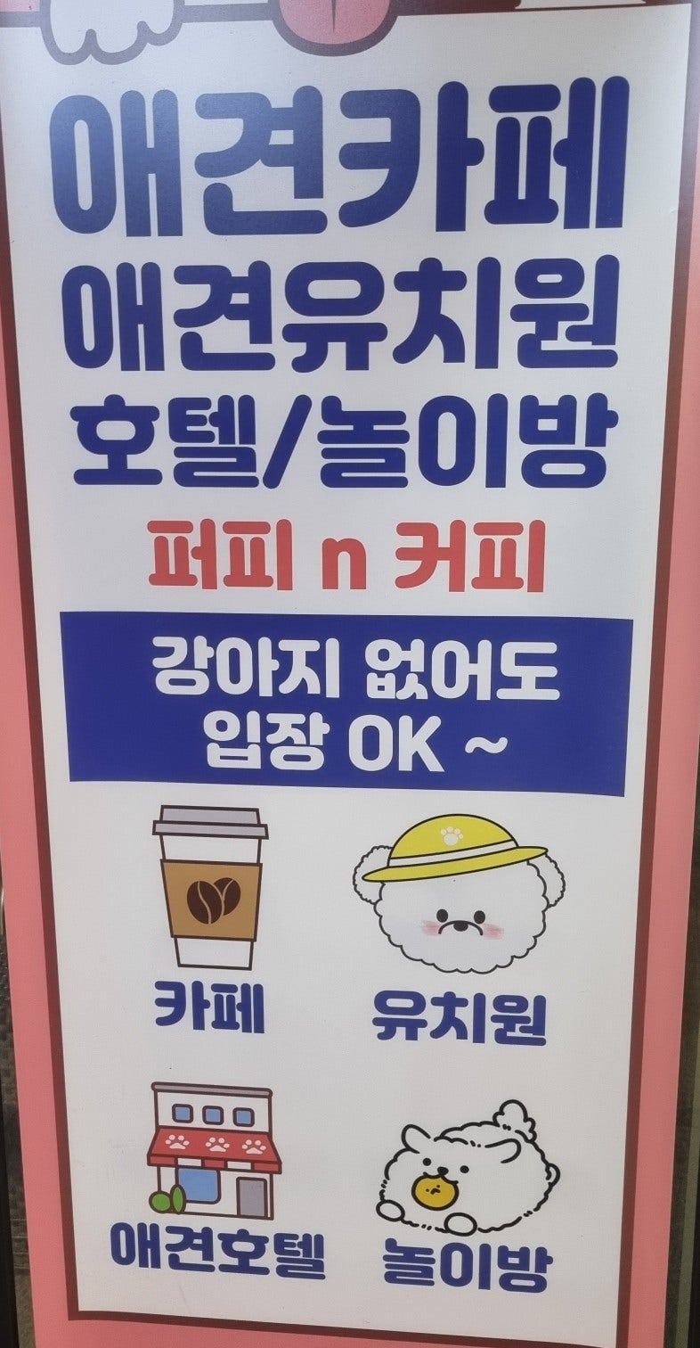 사진 5