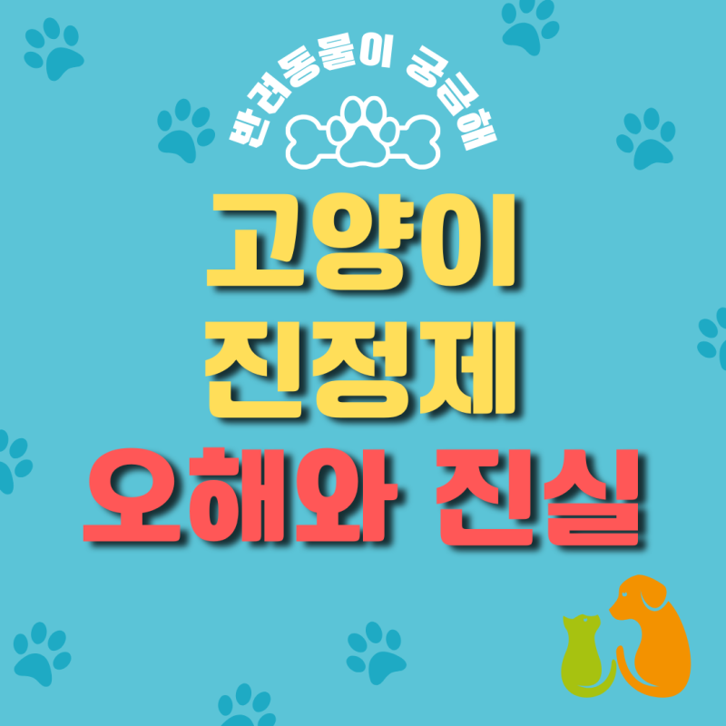 고양이 병원 진료 필수템? 진정제 종류와 안전 수칙
