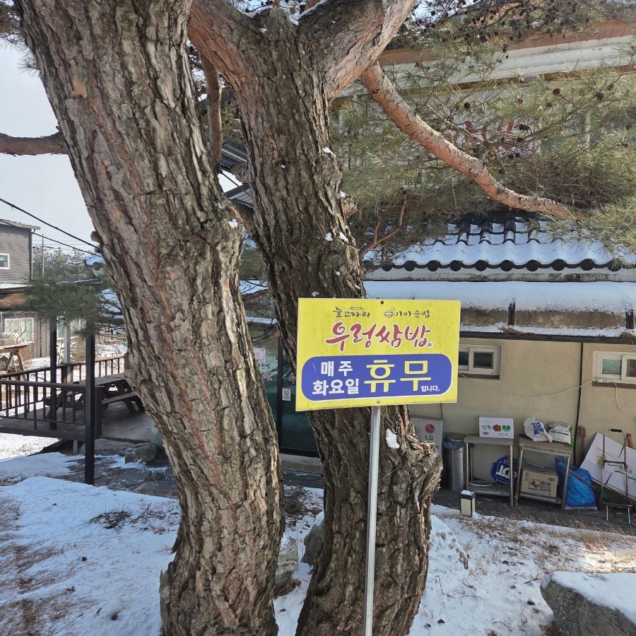 늘고자리 사진 3
