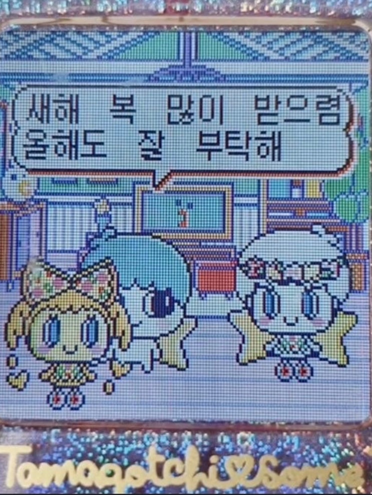  [일상기록] 2026년 1월