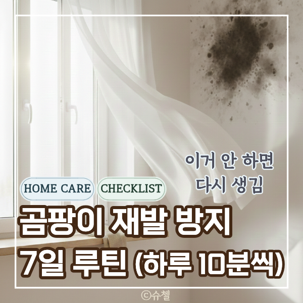  벽지 곰팡이 재발 방지｜ 환기 타임 하루 10분, 7일 루틴 체크리스트로 결로 방지까지