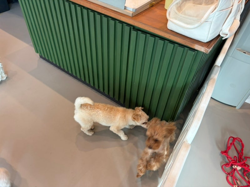 사진 9