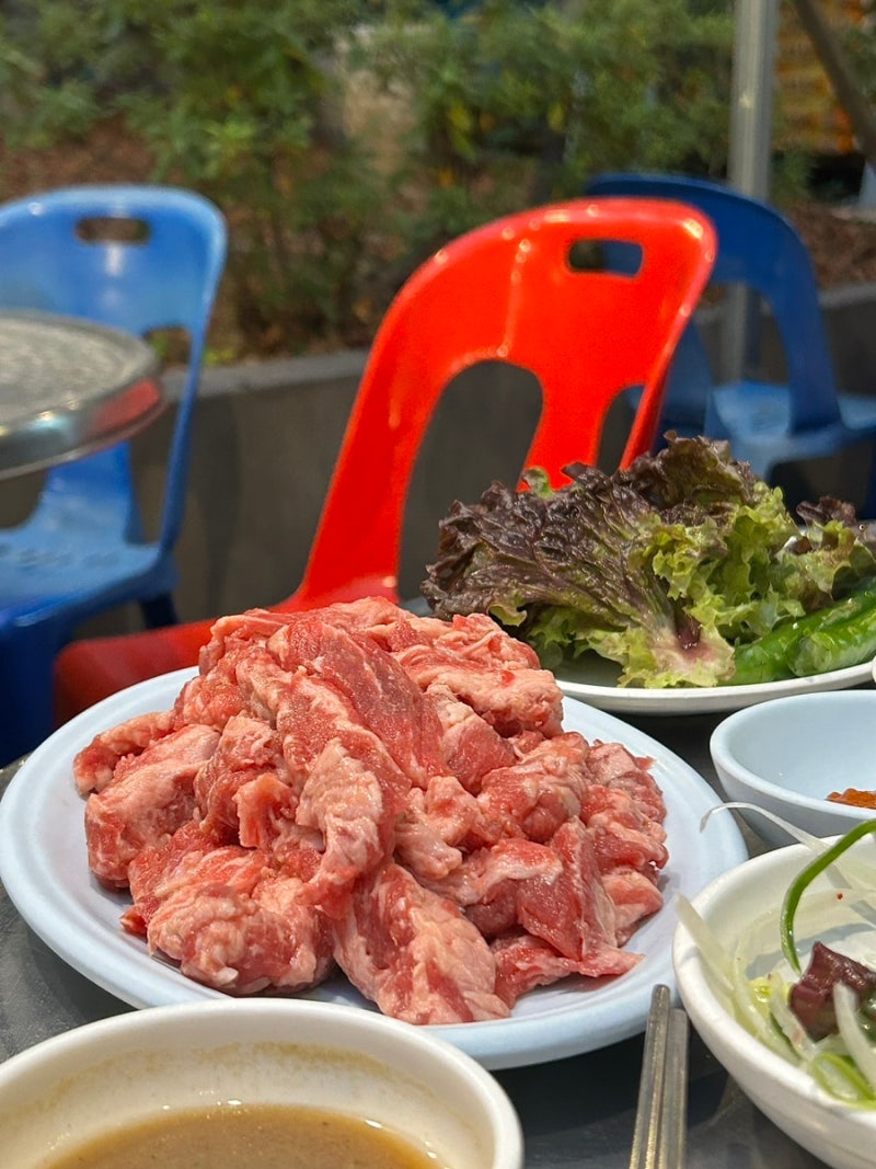 부산 노포맛집 서면 야장 가능한 고기집 들녘 내돈내산