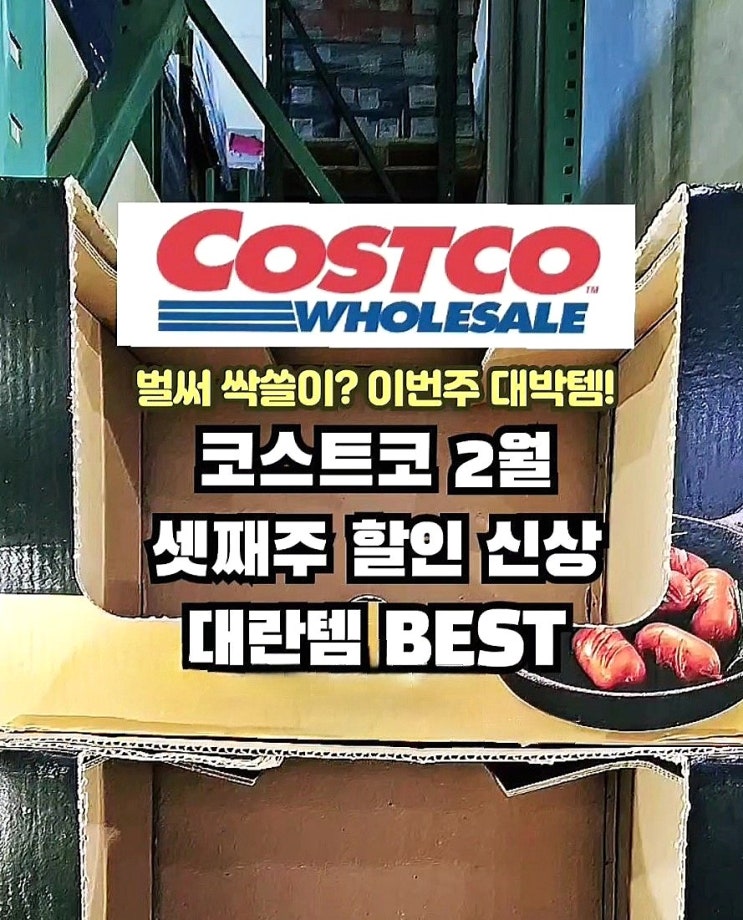  코스트코 2월 셋째주 할인 추천템