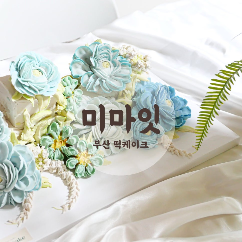 미마잇 사진 1