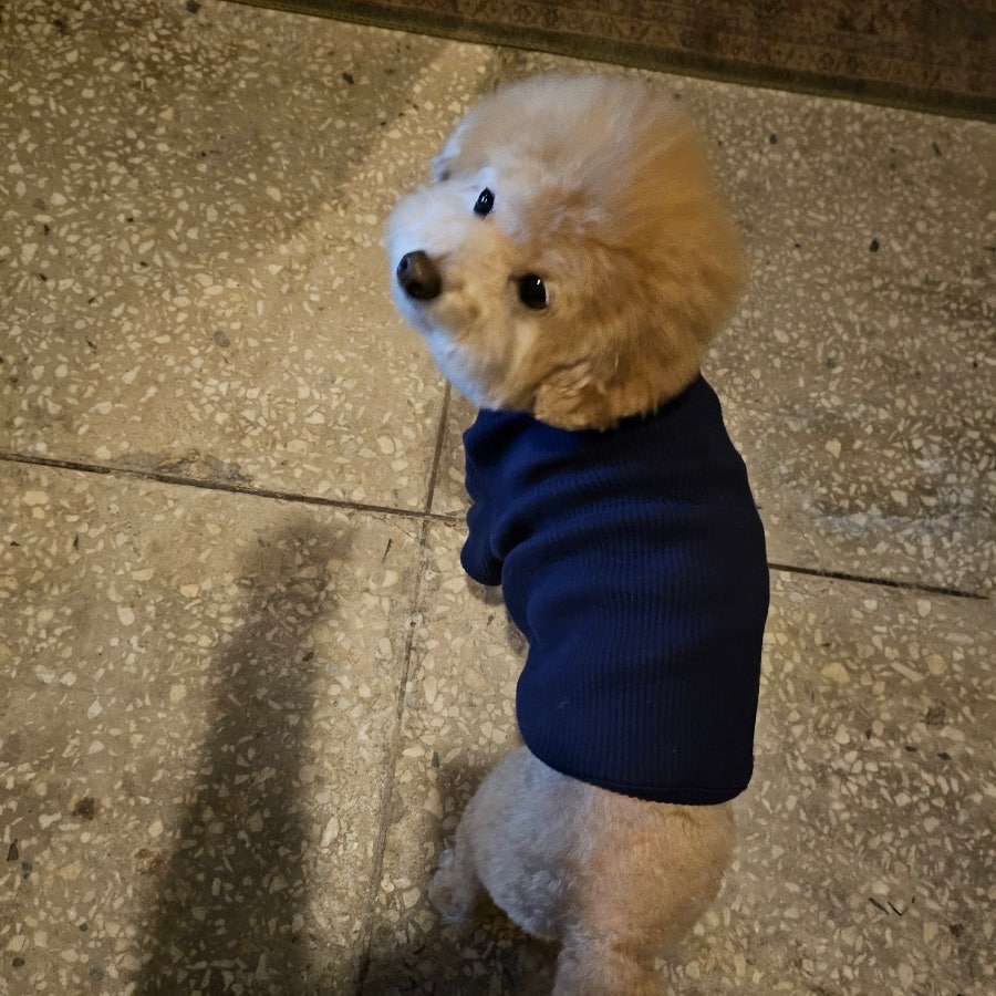 롱스펍 사진 5