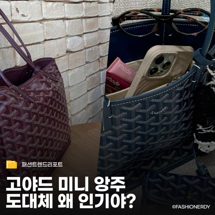  전국 매장 딱 5곳? 고야드 미니앙주 가격 인상에도 품절인 이유
